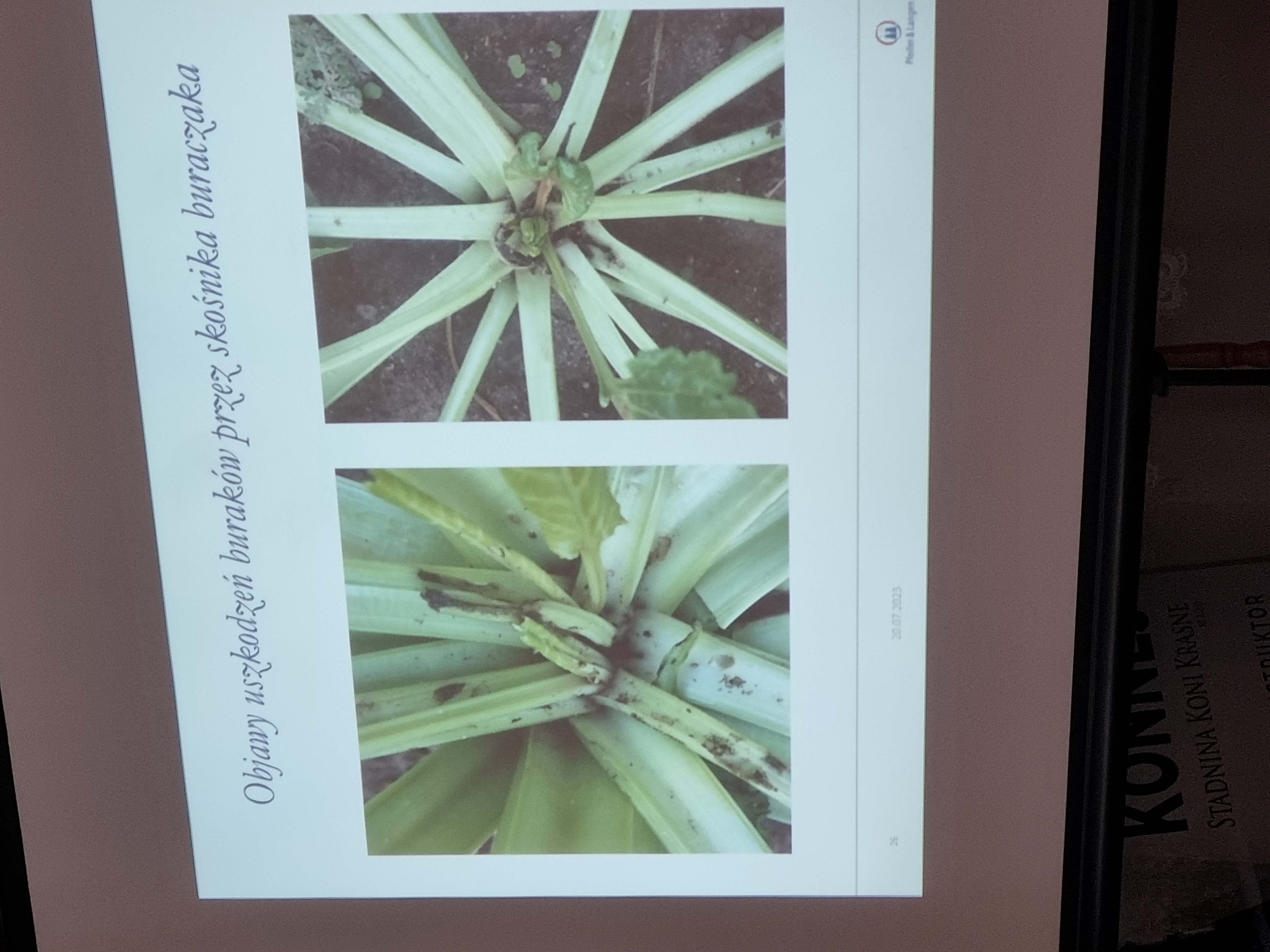 Spotkanie Związków z Władzami Cukrowni.